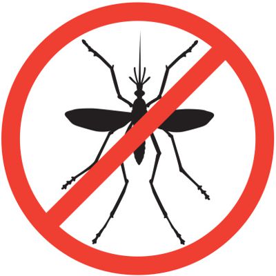 Boletim SEMUSA não registra casos da DENGUE em Divinópolis FIM DA DENGUE